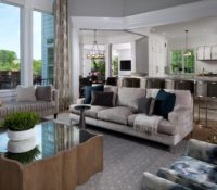 Contemporary family room with medium hardwood flooring, minimalist furniture and grey rug